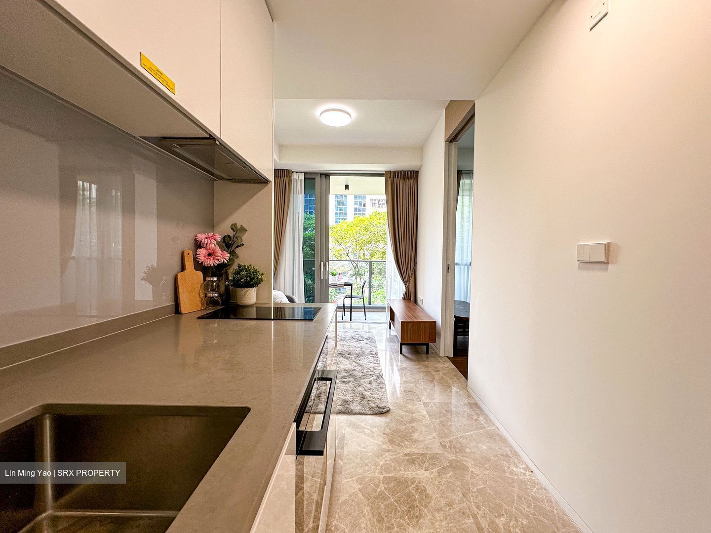 Amber Park (D15), Condominium #545452441